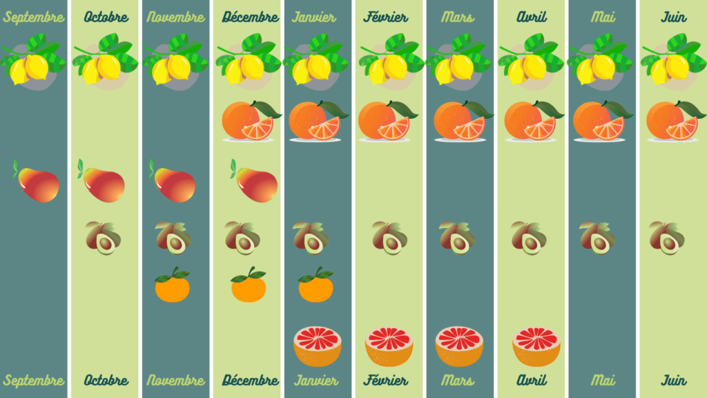 tableau des saisons