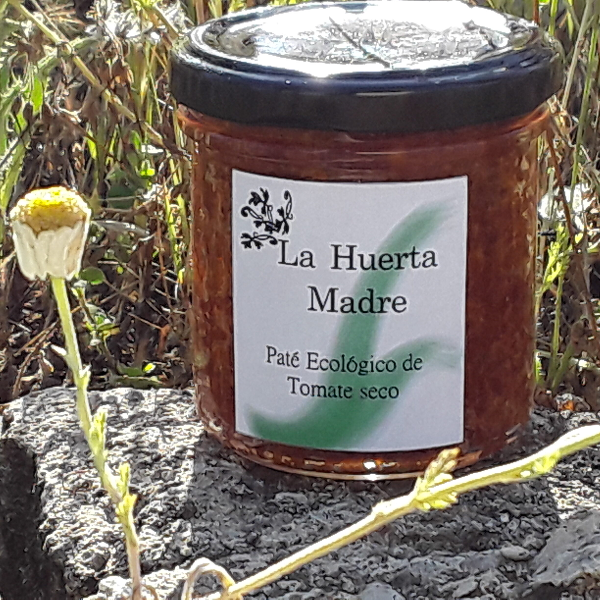 pâté de tomates séchées écologique