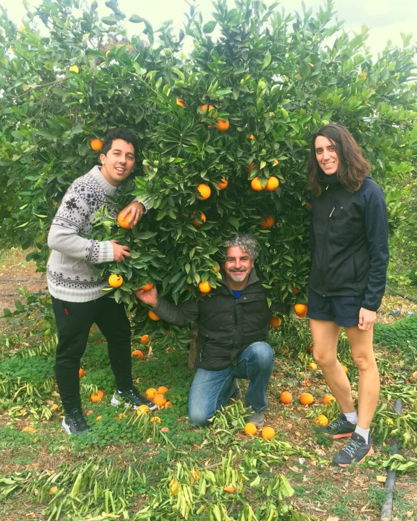 entreprise de livraison de fruits bio et équitables